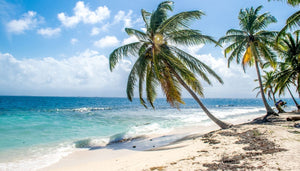 Desert Island Delights: Alicia of The Lady's Maid