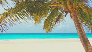 Desert Island Delights: Rosie Green of Life's Rosie