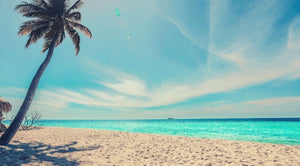 Desert Island Delights, Vicky from You Need a Vicky