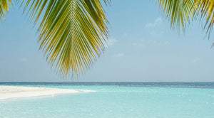 Desert Island Delights - Dr Sam Bunting