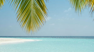 Desert Island Delights: Sima aka the Curious Pixie