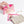 Toiletries being packed in 3 piece cosmetic bag